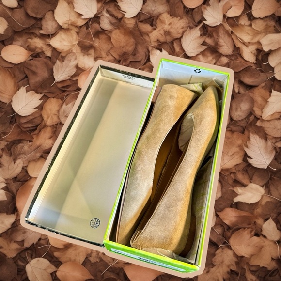 NWT Sam Edelman ‘Sally’ Pointed Toe Flats in “Oatmeal” Suede Leather Size 11 - Picture 6 of 16